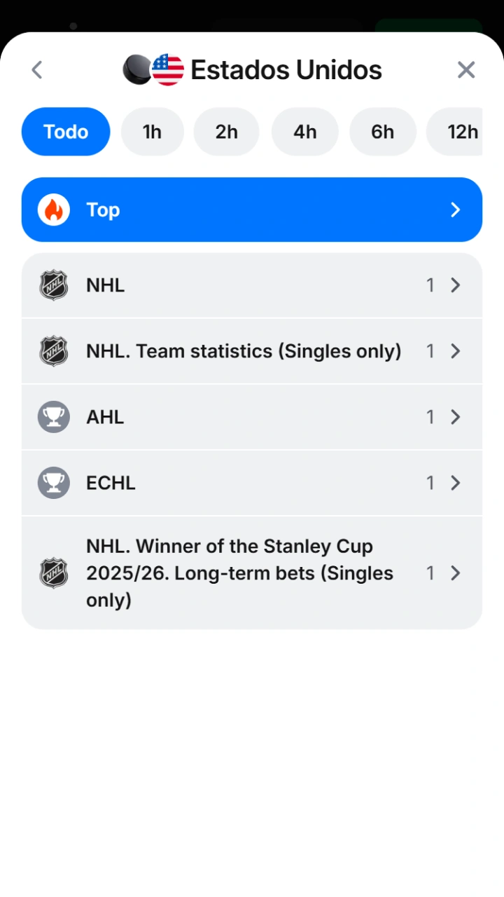 Elige el torneo de hockey que prefieras dentro de la organizada interfaz de 1win.