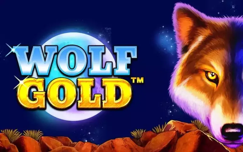 Busca grandes premios bajo la luna llena jugando al popular slot Wolf Gold en casino 1win.